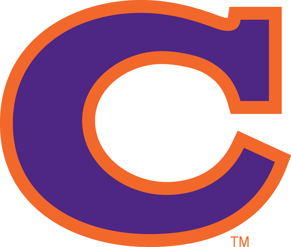 Clemson Tigers 1965-1969 Alternate Logo v3 diy iron on heat transfer